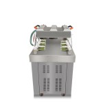 DZ-600 double chamber vacuum packing machine